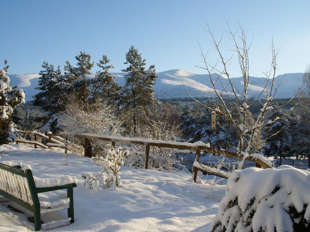 Cairngorm Lodge Youth Hostel Loch Morlich المظهر الخارجي الصورة