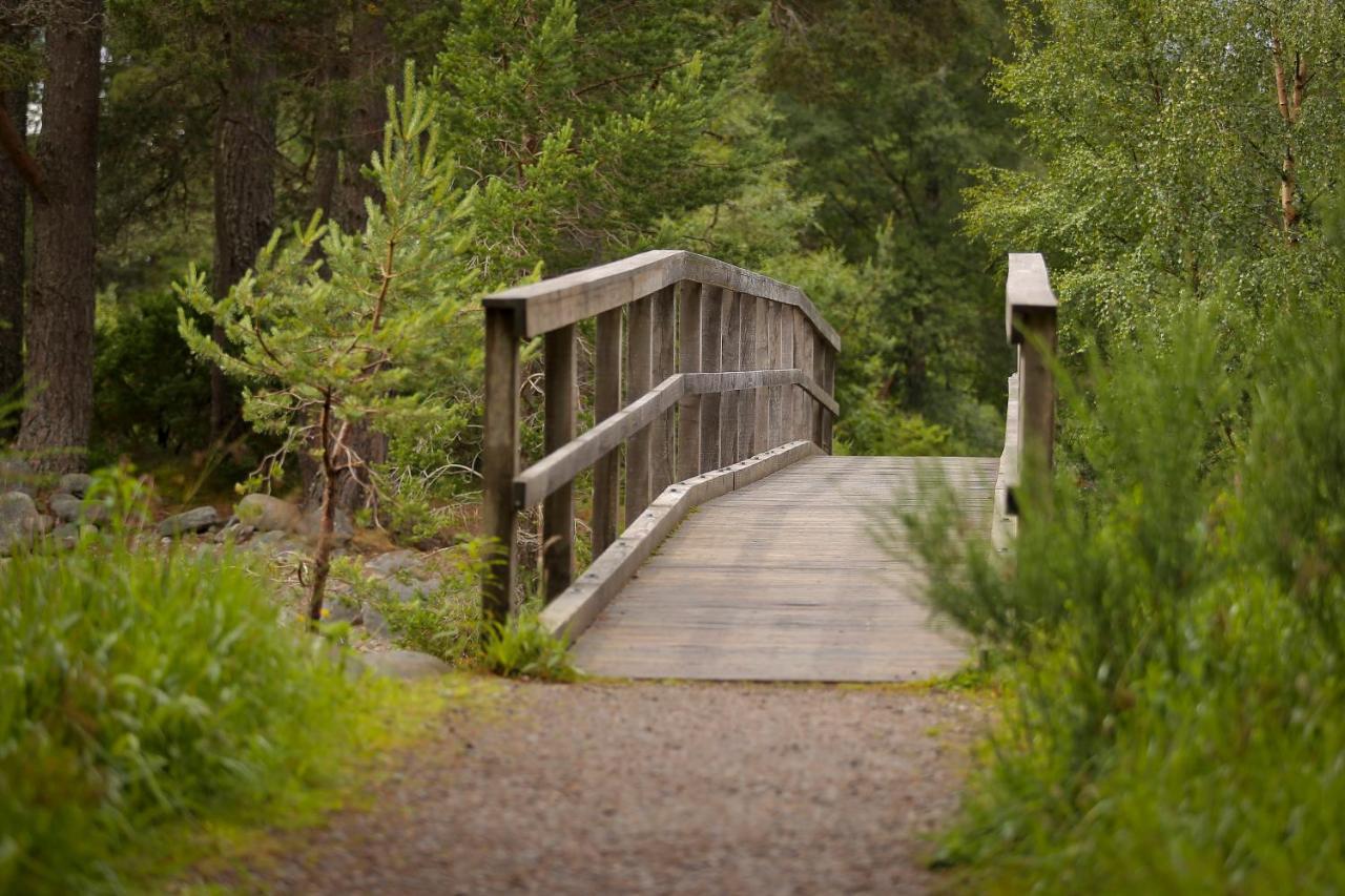 Cairngorm Lodge Youth Hostel Loch Morlich المظهر الخارجي الصورة