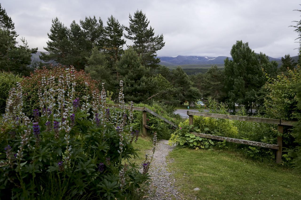 Cairngorm Lodge Youth Hostel Loch Morlich المظهر الخارجي الصورة