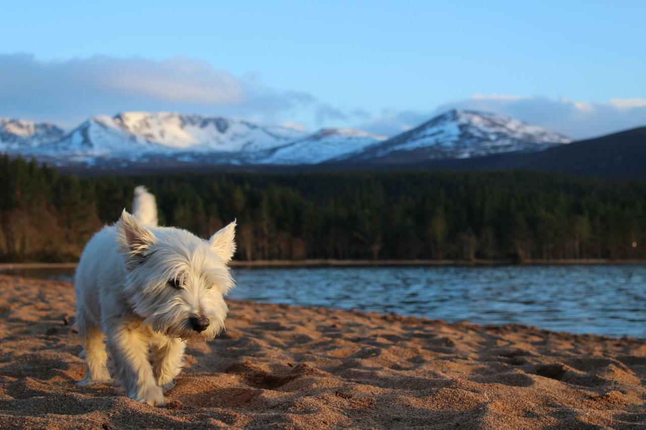 Cairngorm Lodge Youth Hostel Loch Morlich المظهر الخارجي الصورة