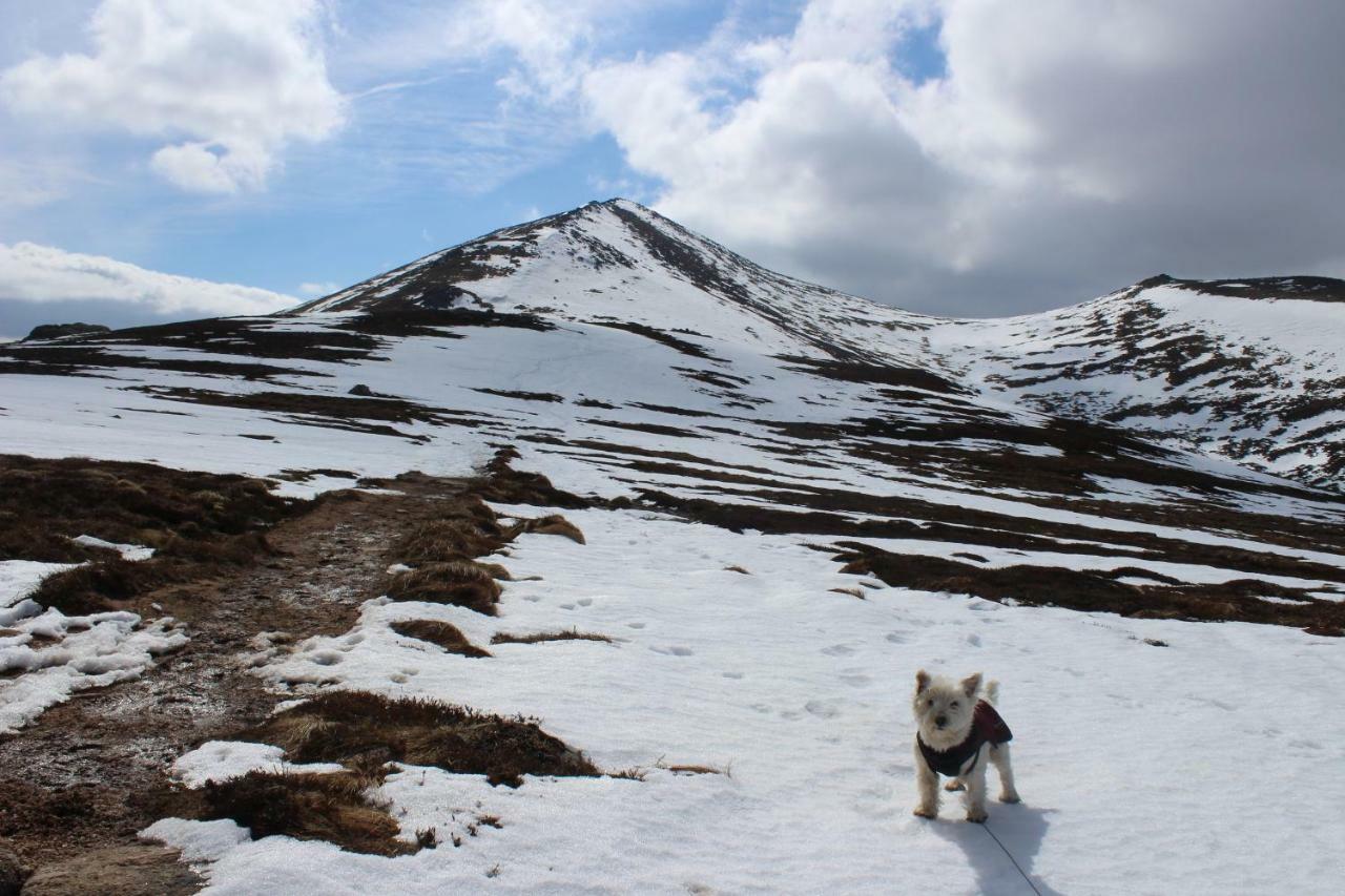 Cairngorm Lodge Youth Hostel Loch Morlich المظهر الخارجي الصورة
